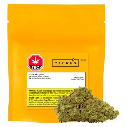 7ACRES – Ultra Jack weed bag with premium buds, displayed for UK cannabis buyers