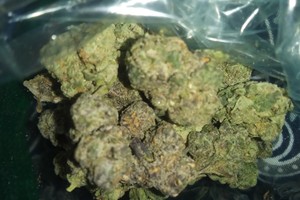Sunset Gelato Strain UK