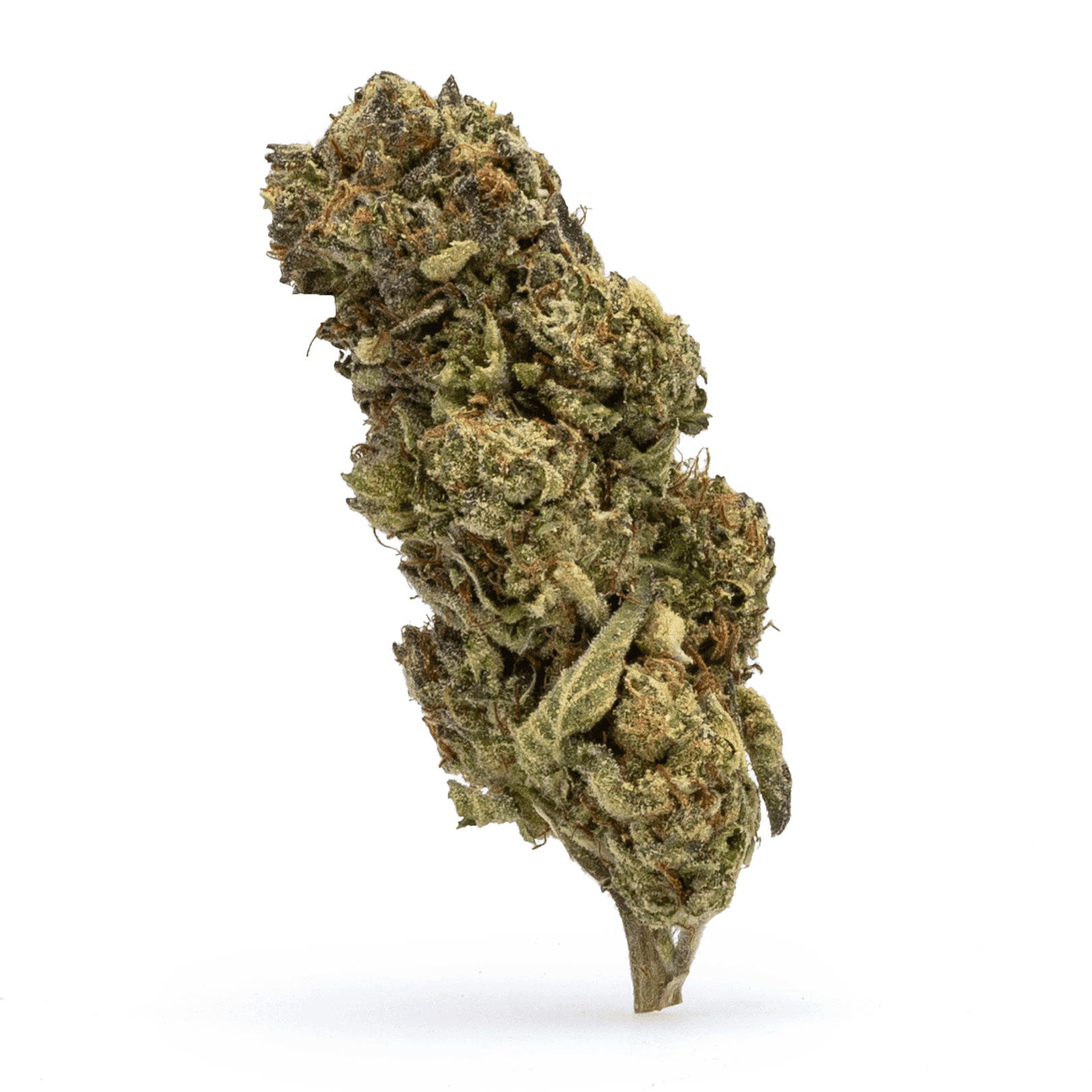 High-THCa-Flower-Ice-Cream-Cookies-Bud