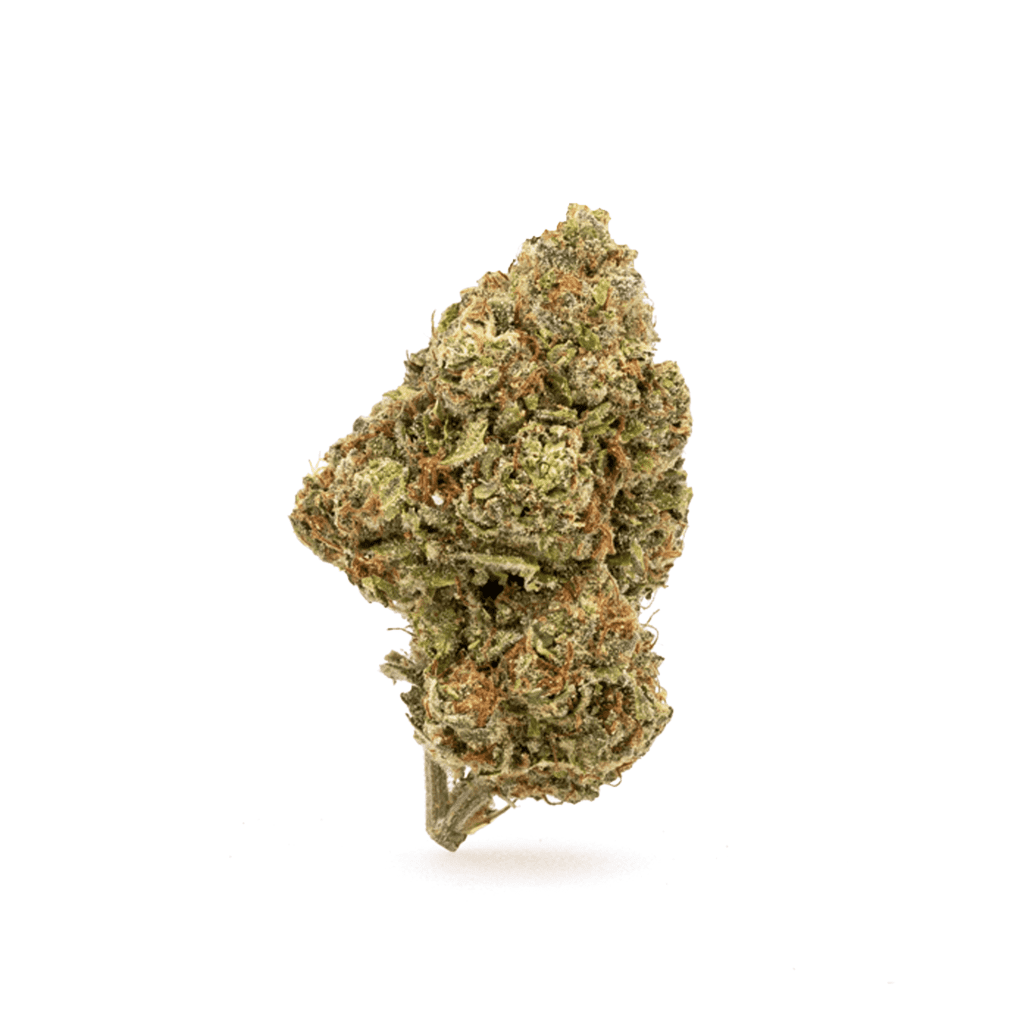 High-THCa-Gary-Payton-Flower-Bud
