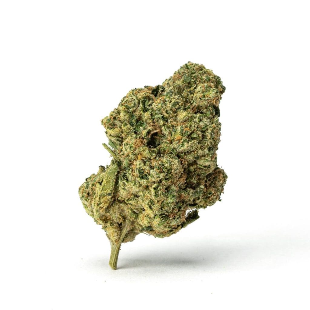 High-THCa-Mac-01-Bud-scaled