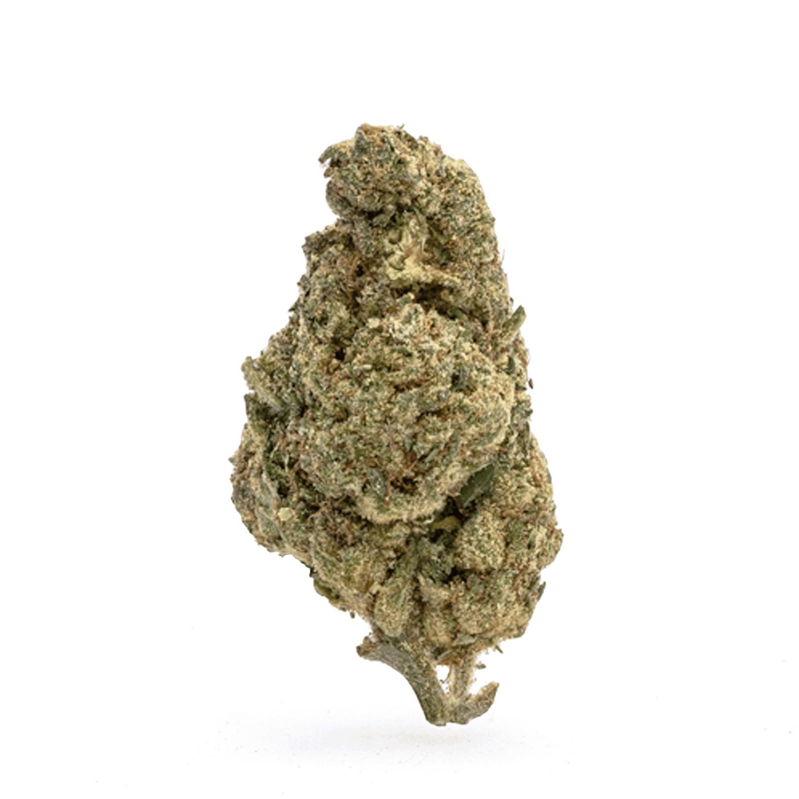 THCa-Flower-OG-Kush-Bud