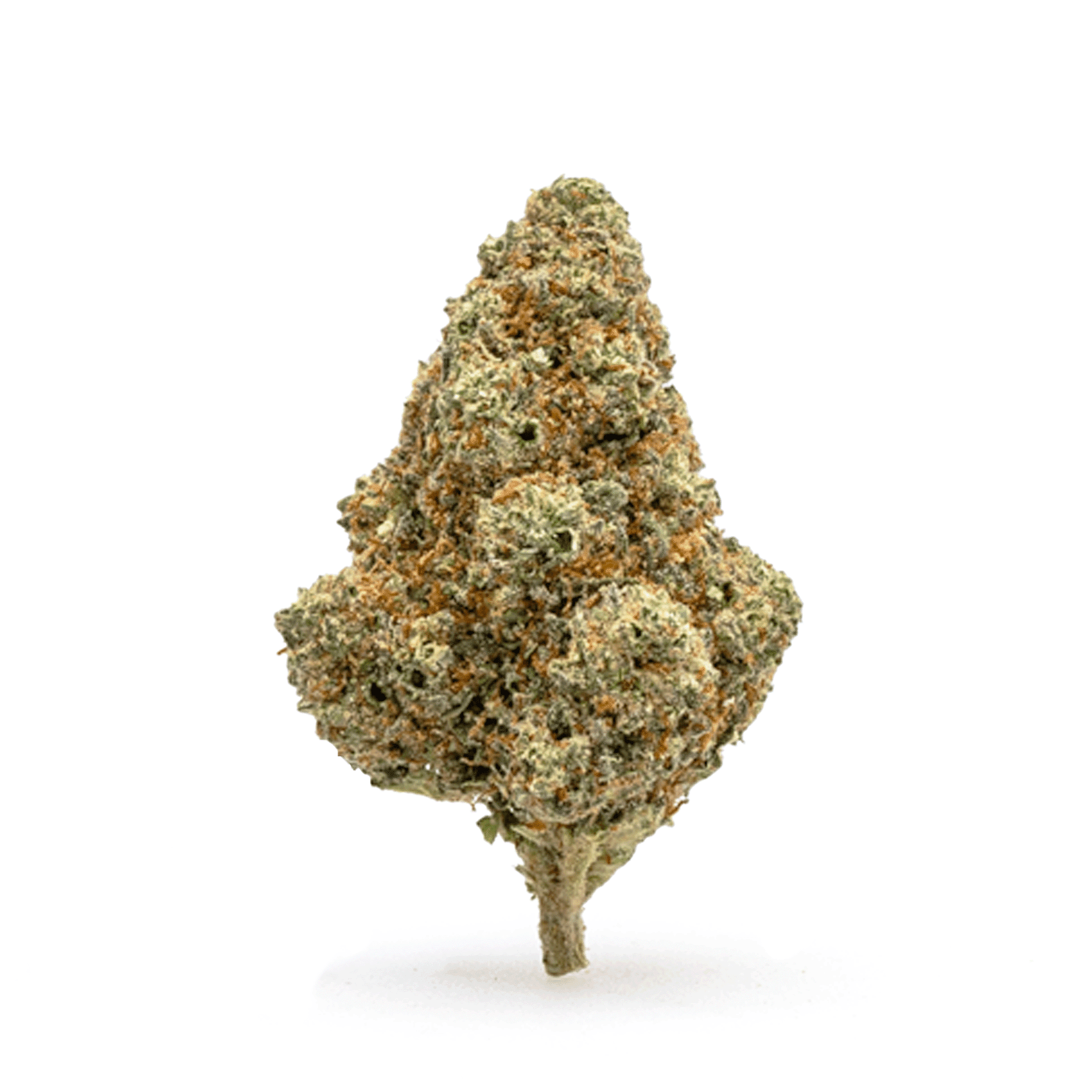 THCa-Flower-Tangie-Bud