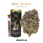 Gold Spectrum THC-A Pre-Rolls - 1g (2ct)