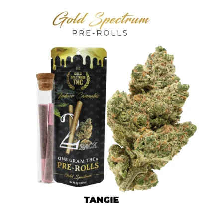Gold Spectrum THC-A Pre-Rolls - 1g (2ct)