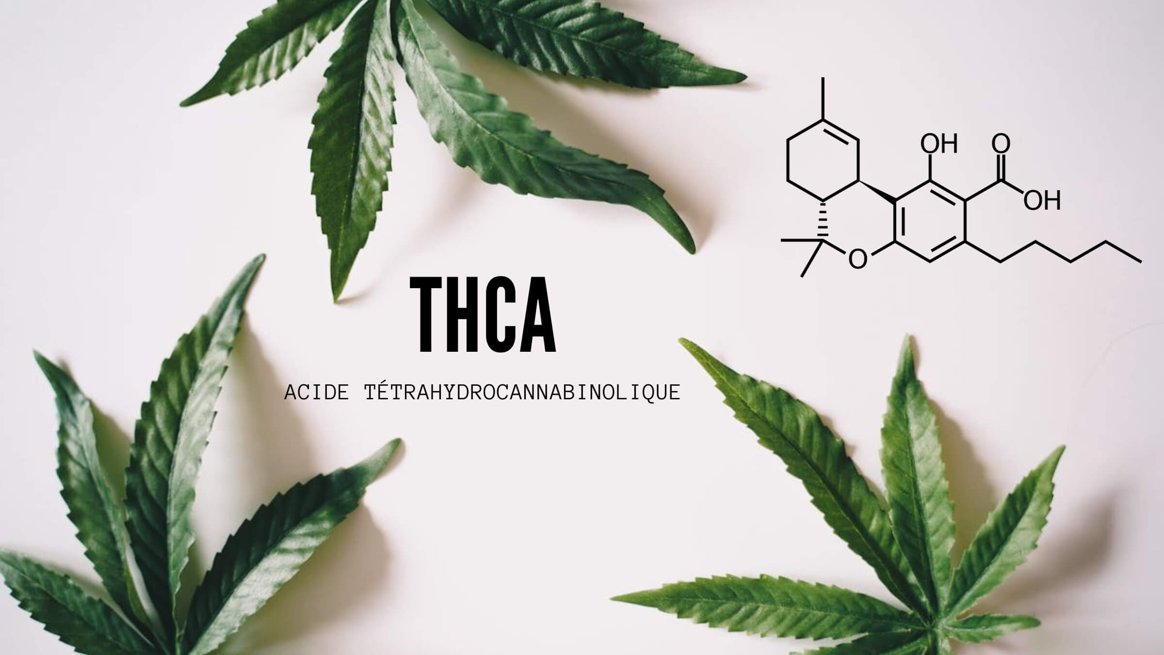 Is THCA Legal in the UK?