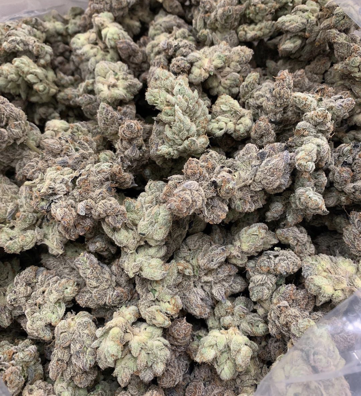 Georgia-Pie-UK