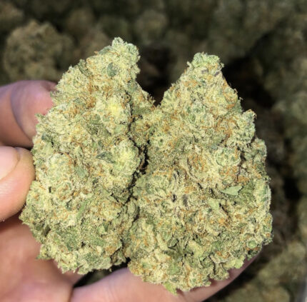 Grandaddy Purple