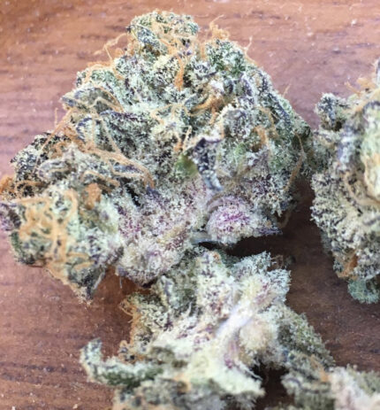 Sherbert x Country Club