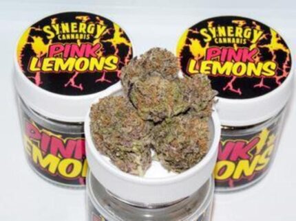THC Pink Lemon (8 grams)