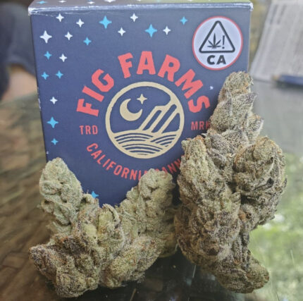 THC Purple Fig x Formula