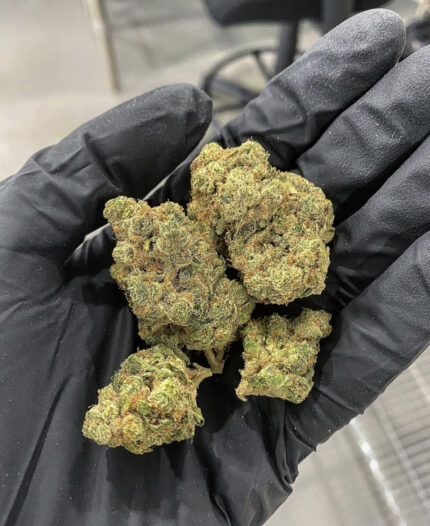 THC Zkittle Cake Mendo